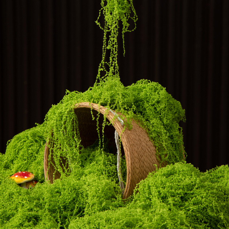 Sphagnum Moss Dry - 200g Eeuwig leven mos DIY ambachten