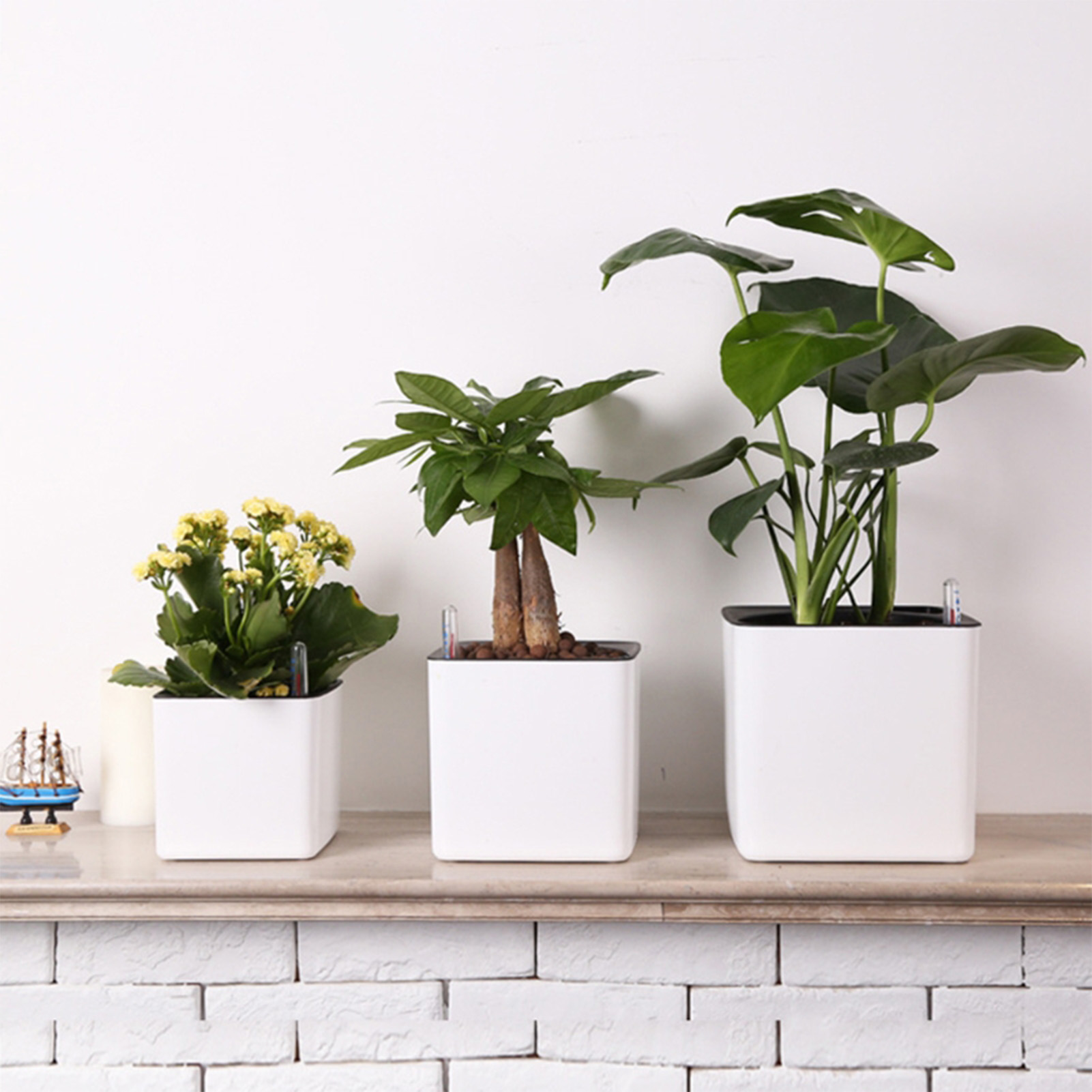 Self Watering Insert - 3-size luie bloempot groene plant zelfwater
