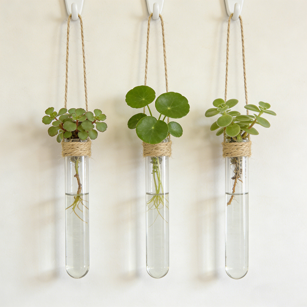 Propagation Station Vase - Hydroponische bloemenvaas aan de muur gemonteerde