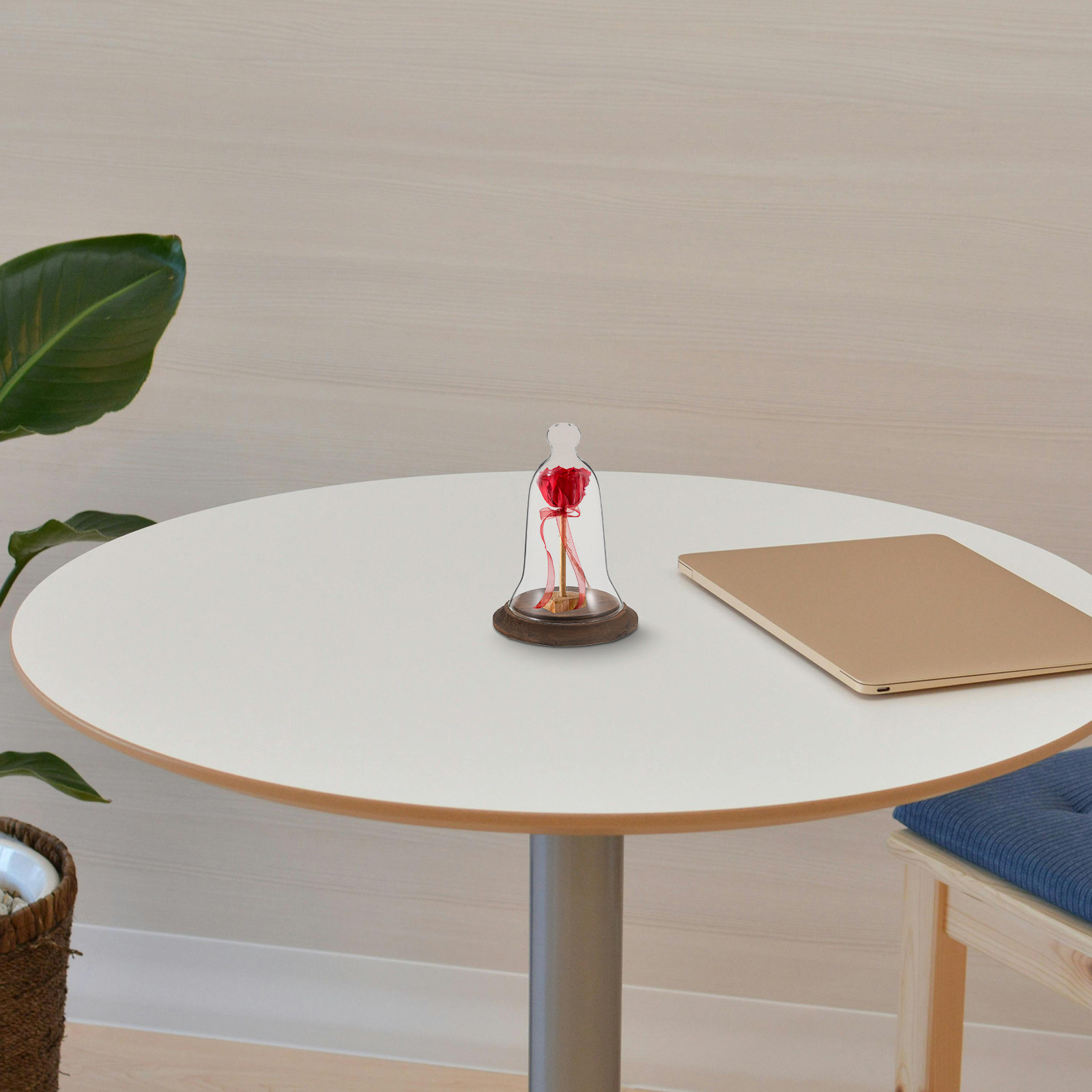 Plastic Dome Clear - Glazen cloche, hoge glazen displaybel van