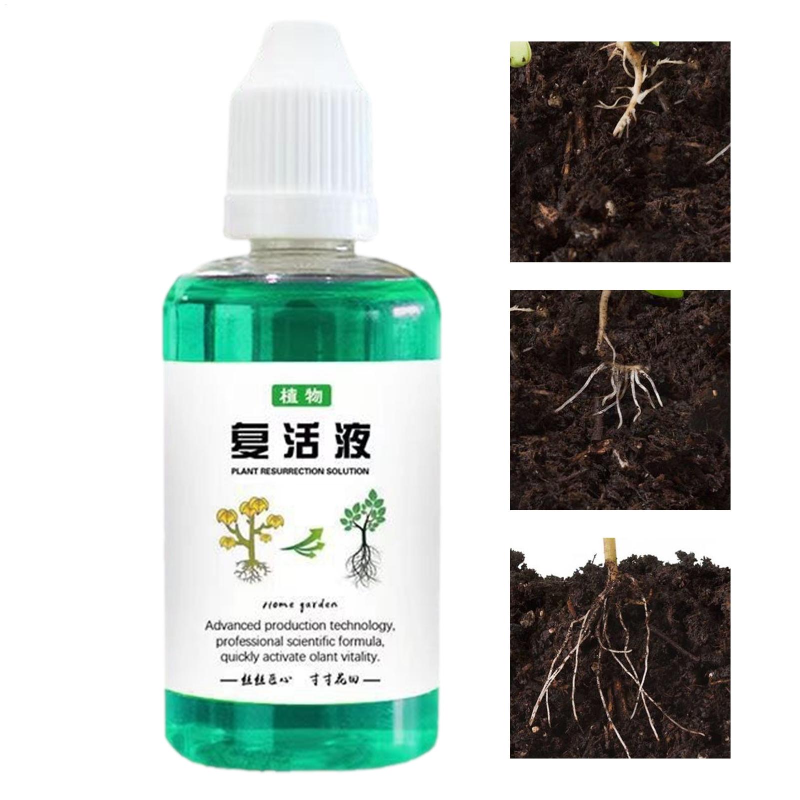 Root Stimulator Liquid - Wortelstimulator voor planten 50ml Plantengroeiversterker Vetplanten