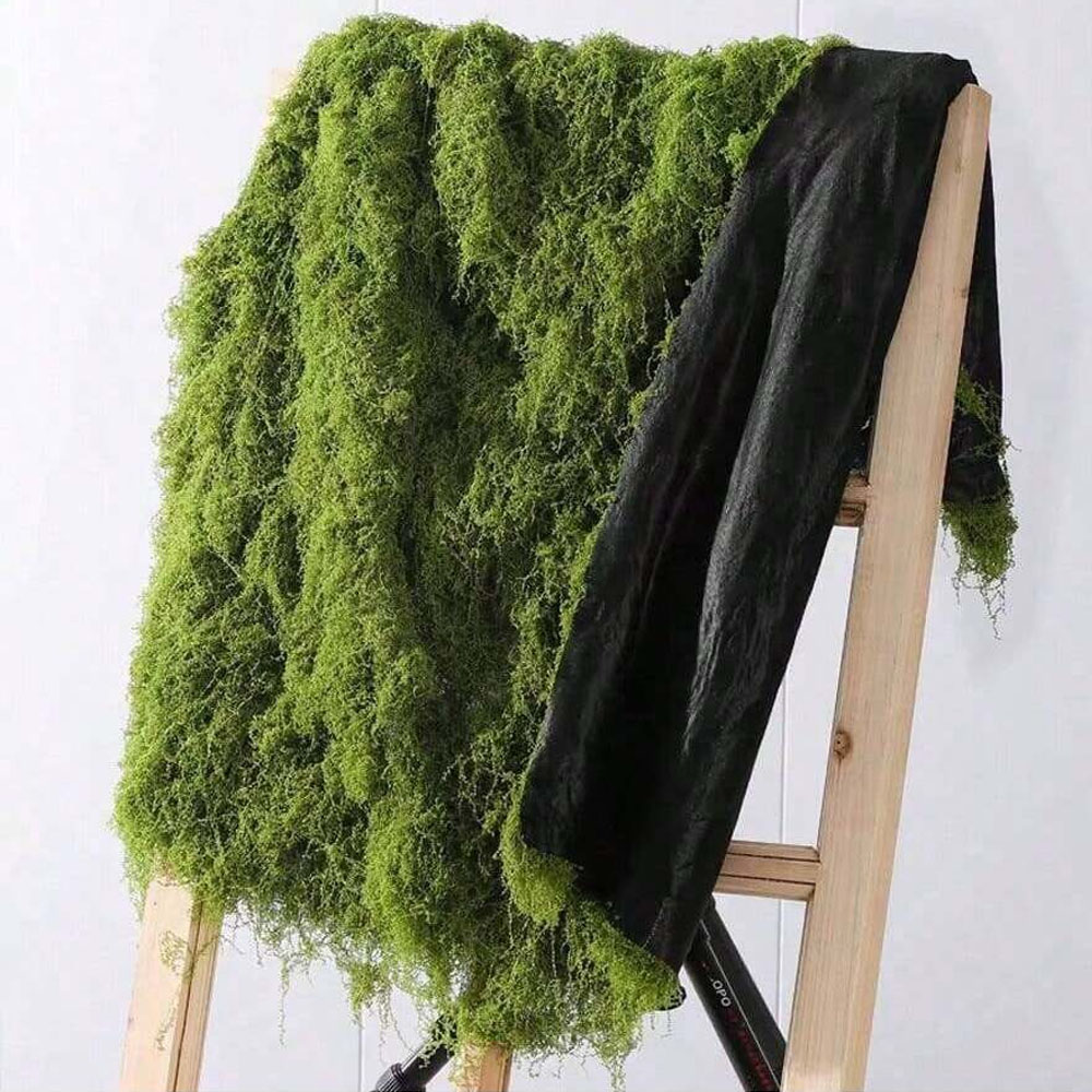 Sphagnum Moss Dry - 1*1m Nep Mos DIY Ambachten Gras