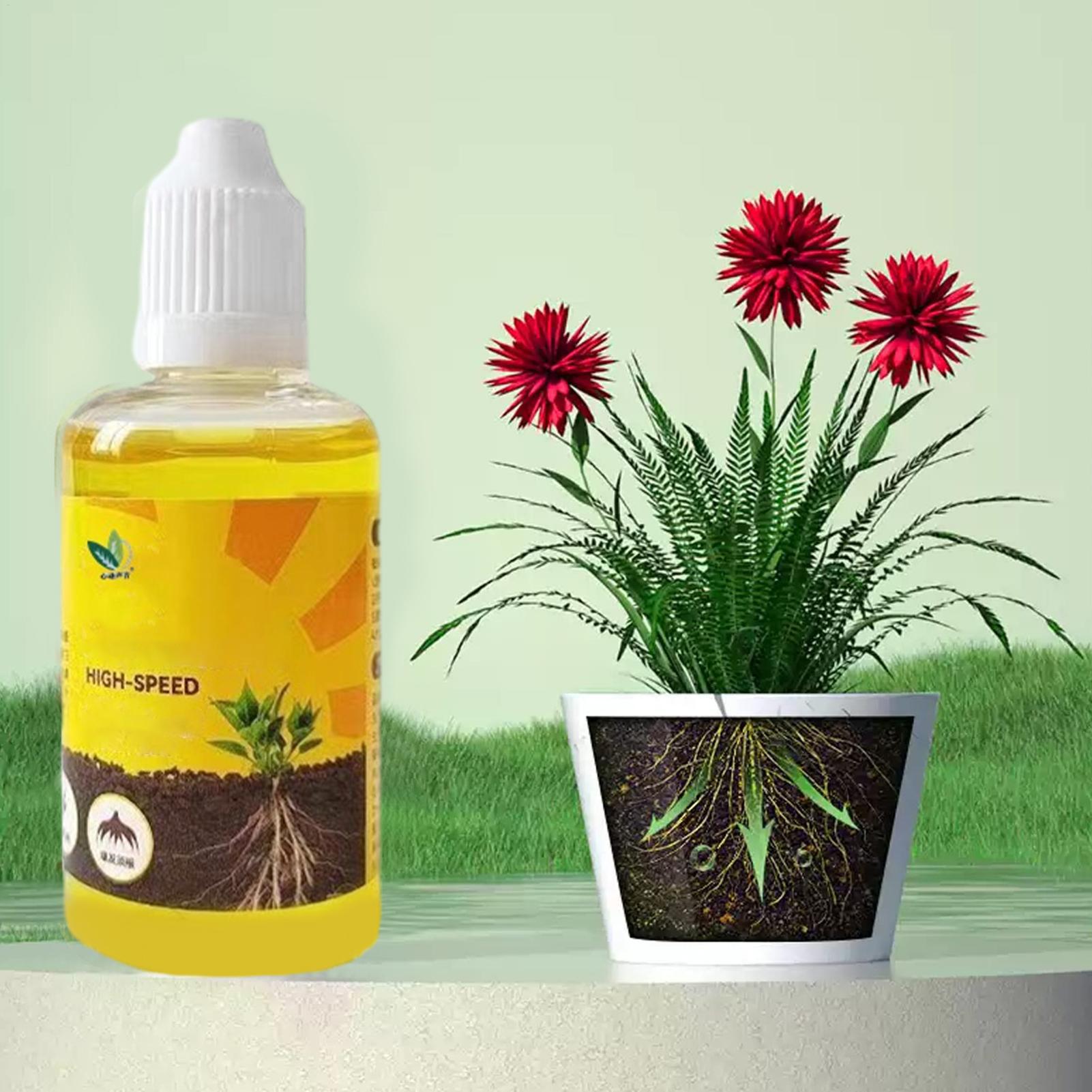 Root Stimulator Liquid - Plant Rapid Rooting Solution 50ml Voedingsrijke