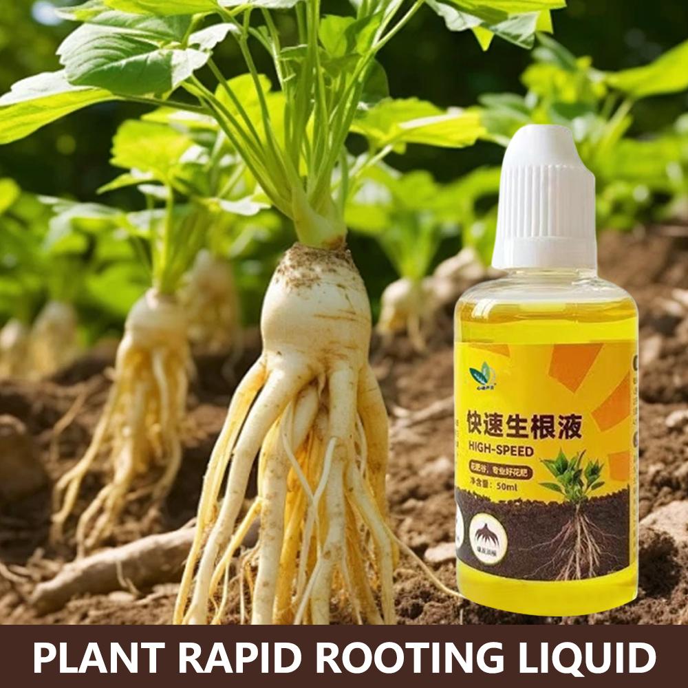 Root Stimulator Liquid - Groene Plant Wortel Stimulator Vloeistof Snijden