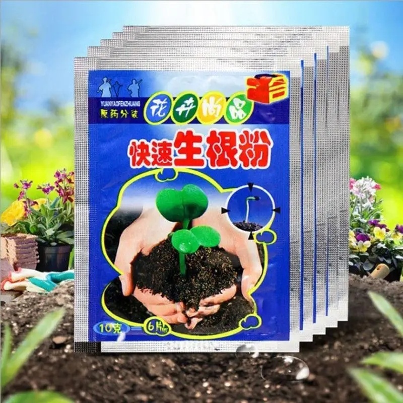 Rooting Hormone Powder - 5 stks Snelle Wroeten Poeder Plant