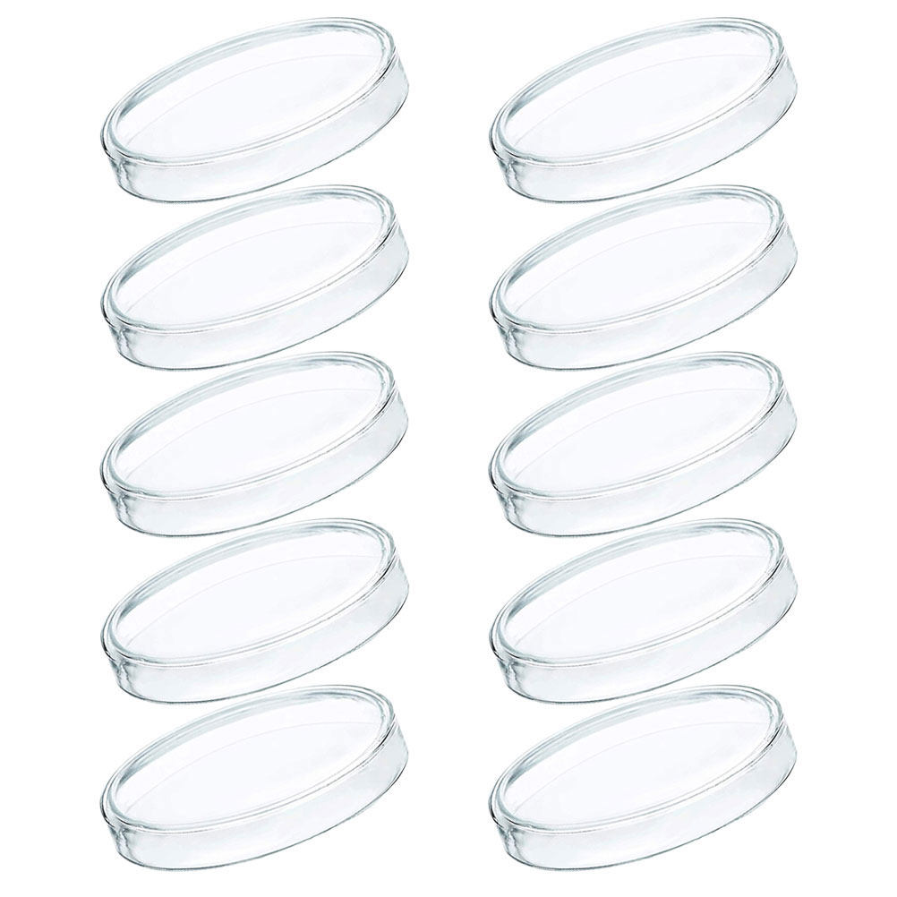 Agar Tissue Culture - 10 Stuks Plastic Petrischalen Transparant Helder