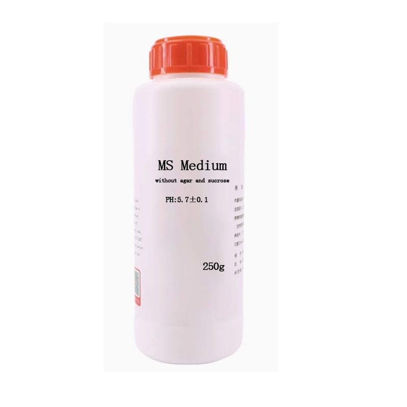 MS Medium Zonder Agar Of Sucro - Agar Tissue Culture recensie en prijs