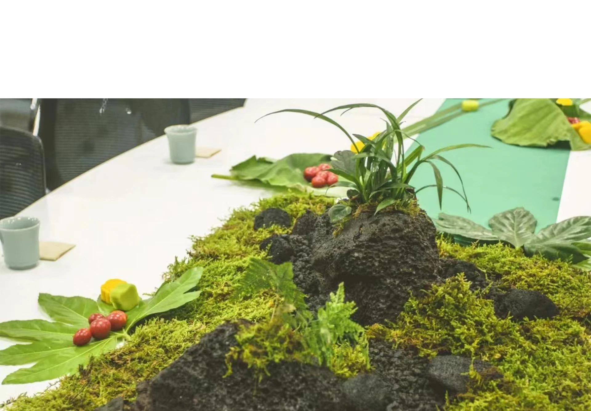 Nep Mos Kunstmatig Mos voor Po - Sphagnum Moss Dry recensie en prijs
