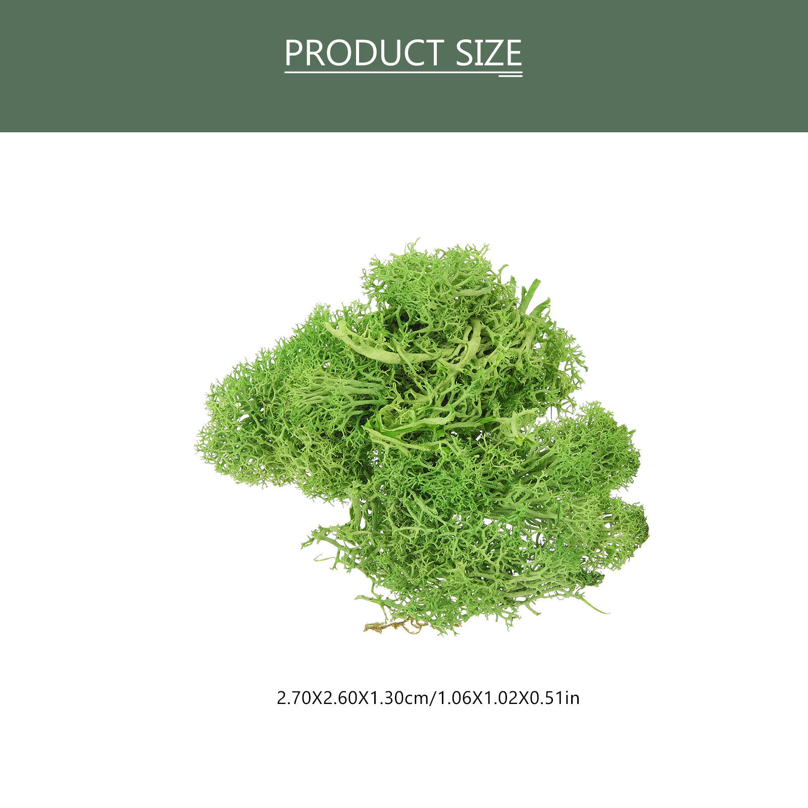 Bruin Sphagnum Landschap Kunst - Sphagnum Moss Dry recensie en prijs