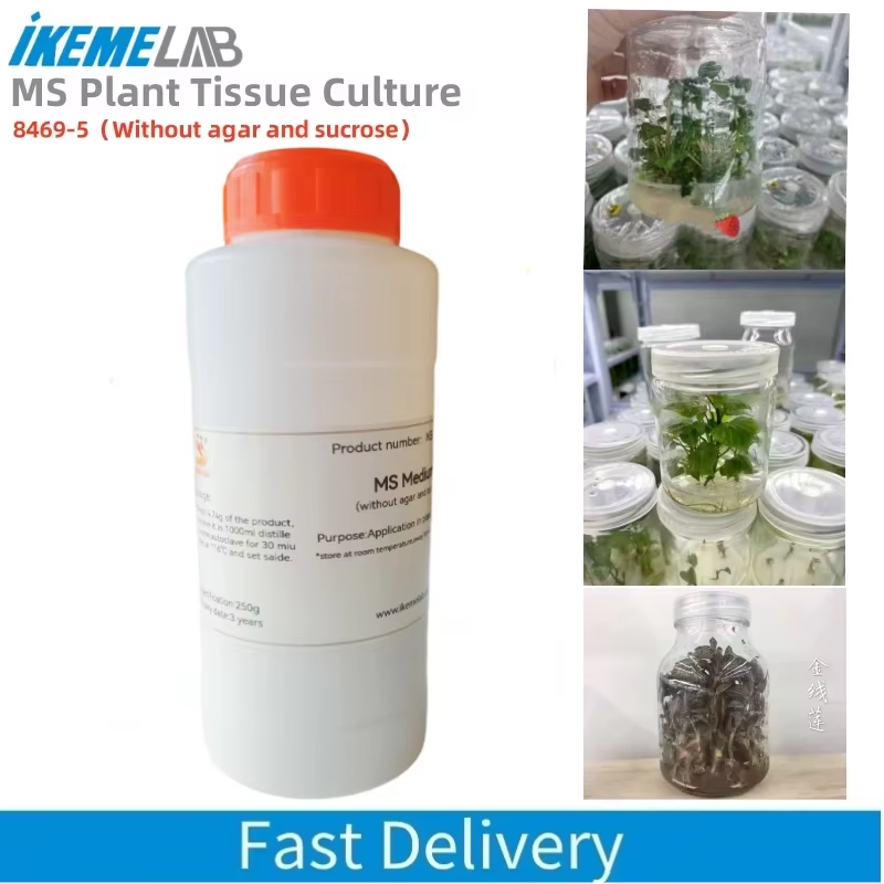 IKEME 250g Lab MS Medium zonde - Agar Tissue Culture recensie en prijs