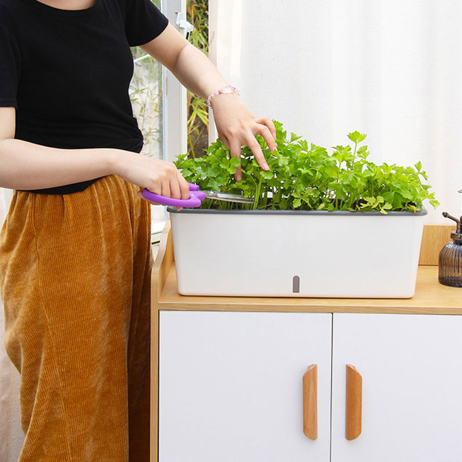 Zelfwatergevende plantenbakken - Self Watering Insert recensie en prijs