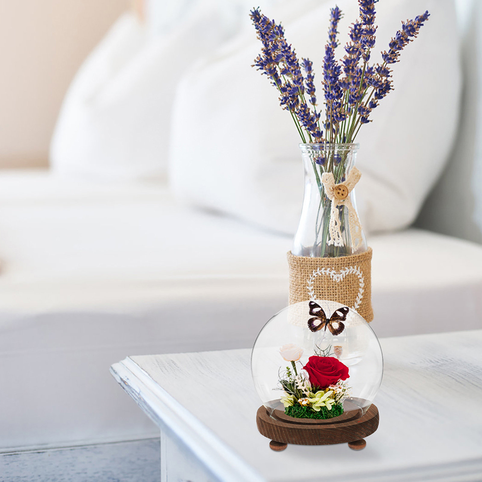 Sferische glazen deksels Ornam - Plastic Dome Clear recensie en prijs