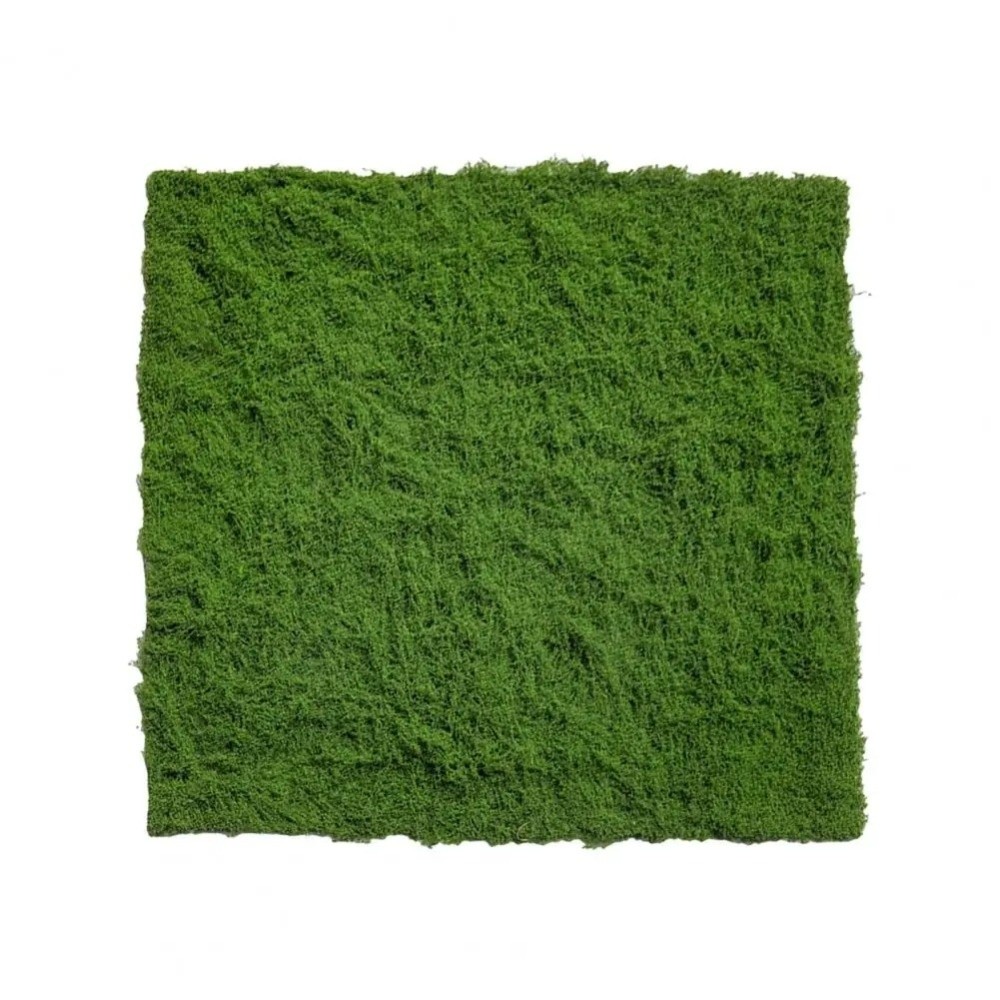 DIY Kunstgras Tapijt Duurzaam  - Sphagnum Moss Dry recensie en prijs