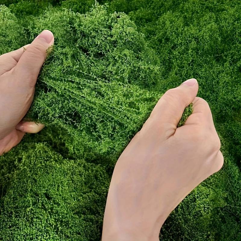20' x 20' Kunstmosmat voor pla - Sphagnum Moss Dry recensie en prijs