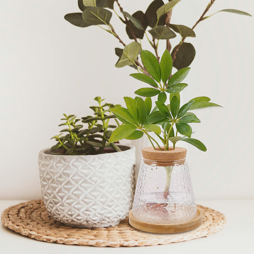 2 stuks glazen hydrocultuurvaa - Propagation Station Vase recensie en prijs