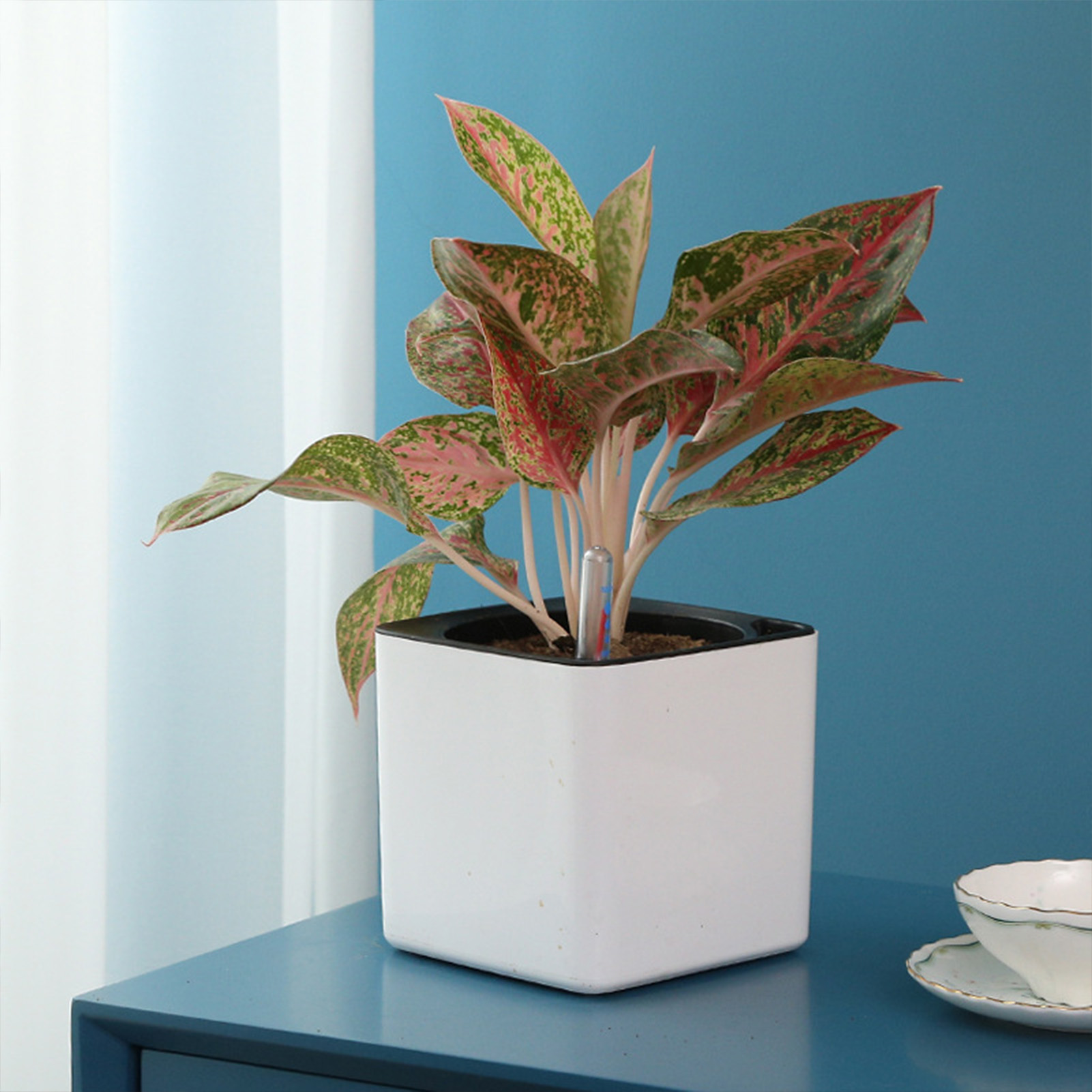 3-size luie bloempot groene pl - Self Watering Insert recensie en prijs