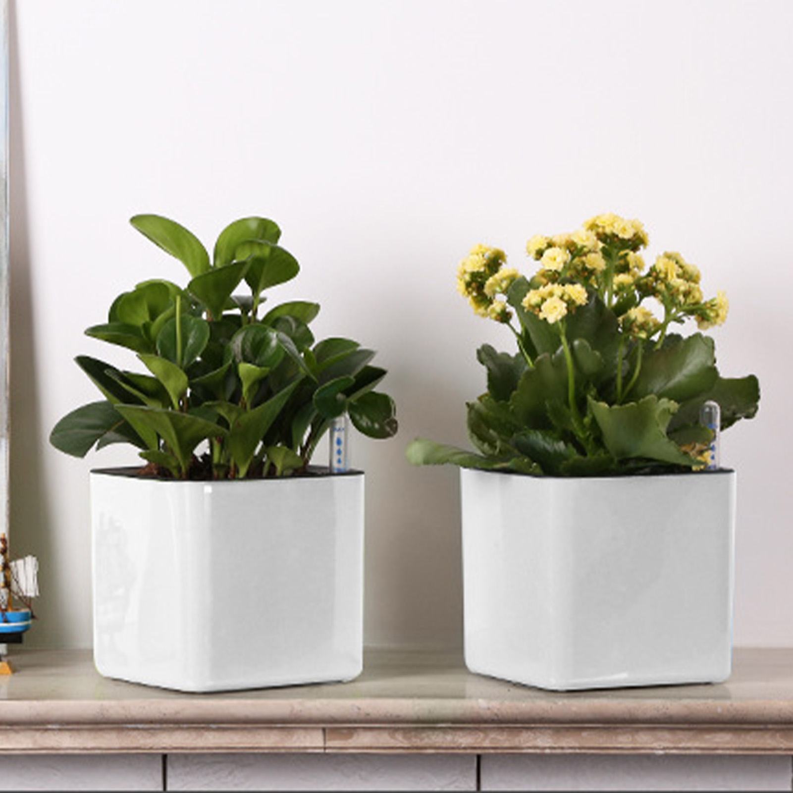 3-size luie bloempot groene pl - Self Watering Insert recensie en prijs