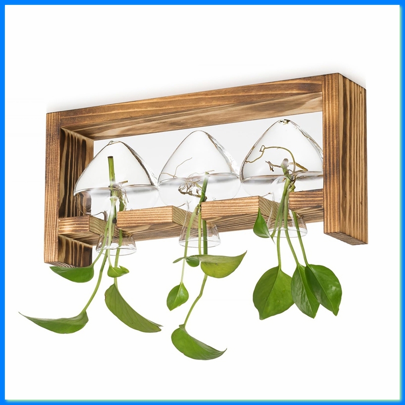 Glazen kweekstation voor plant - Propagation Station Vase recensie en prijs