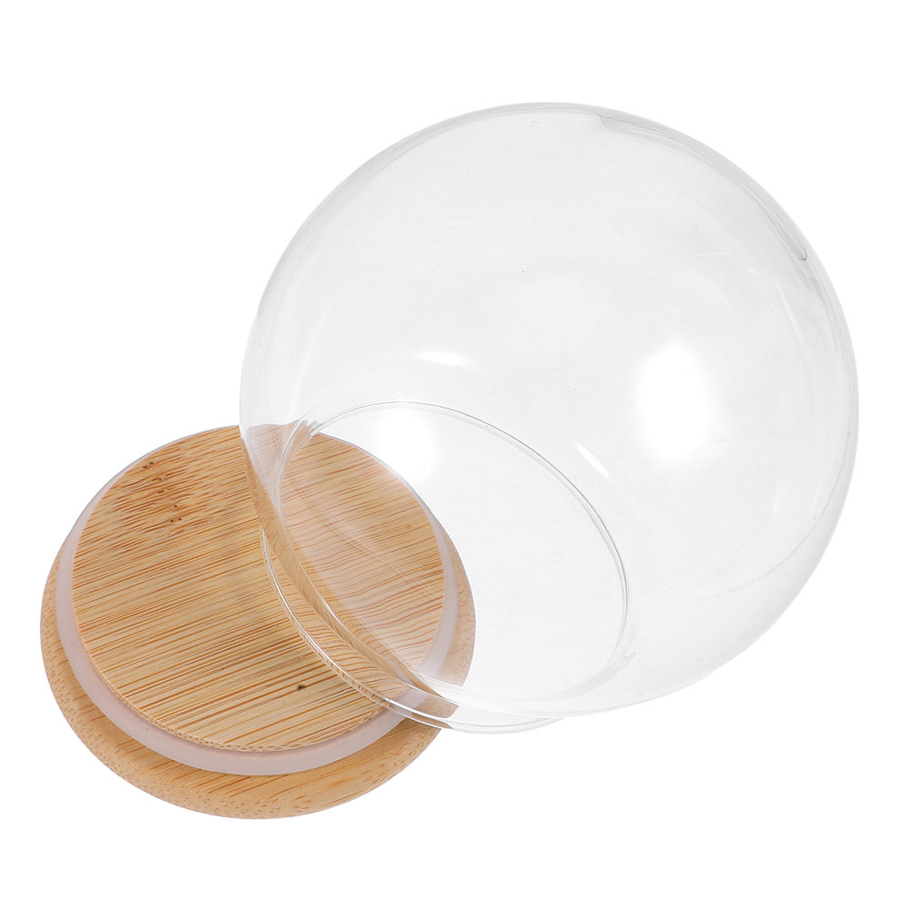 Glazen stolp met deksel, stofd - Plastic Dome Clear recensie en prijs