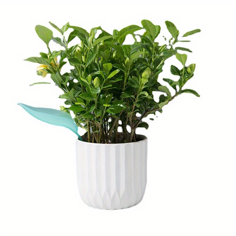 Creatieve giettrechter voor pl - Self Watering Insert recensie en prijs