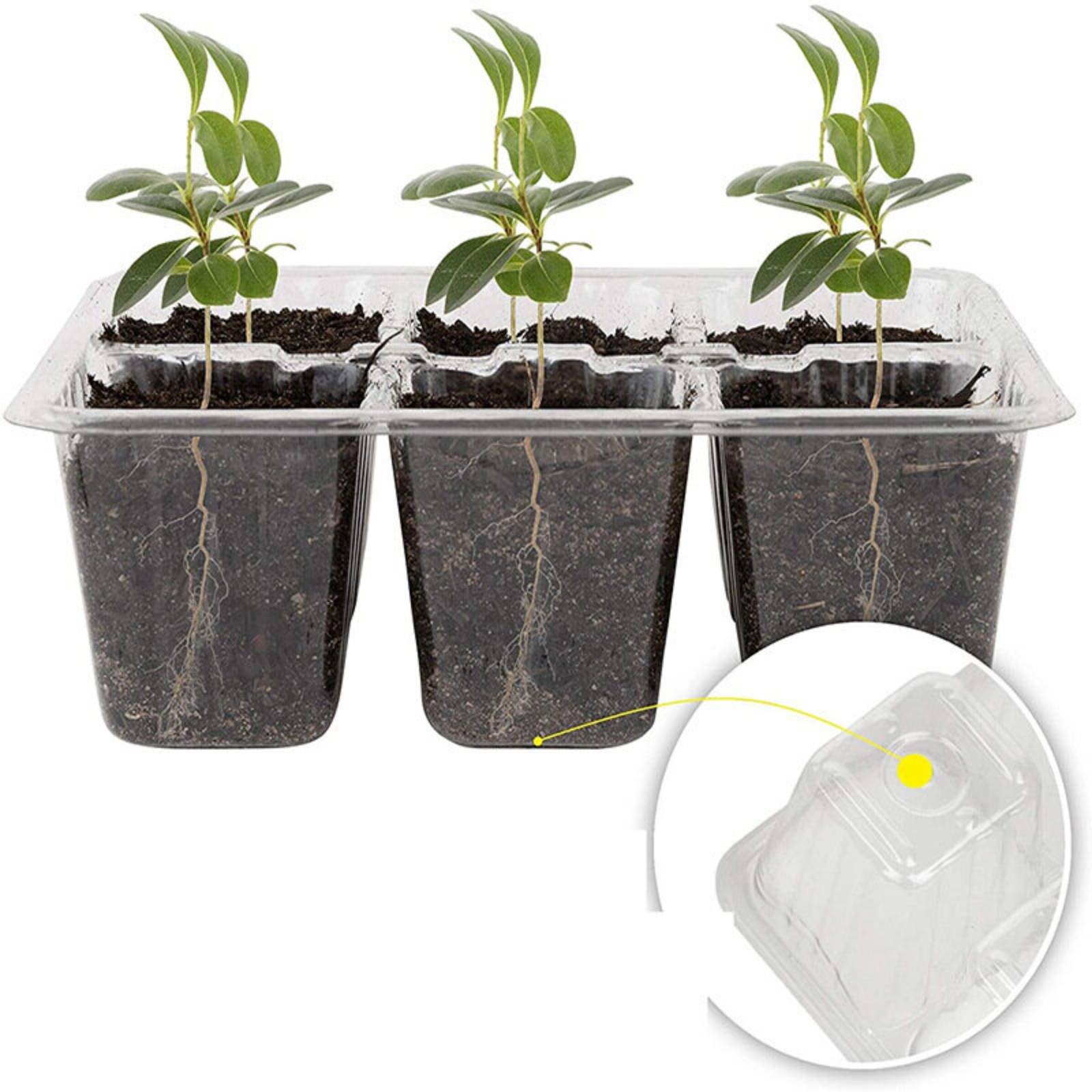 12-delige kiembak met ingebouw - Humidity Dome Kit recensie en prijs