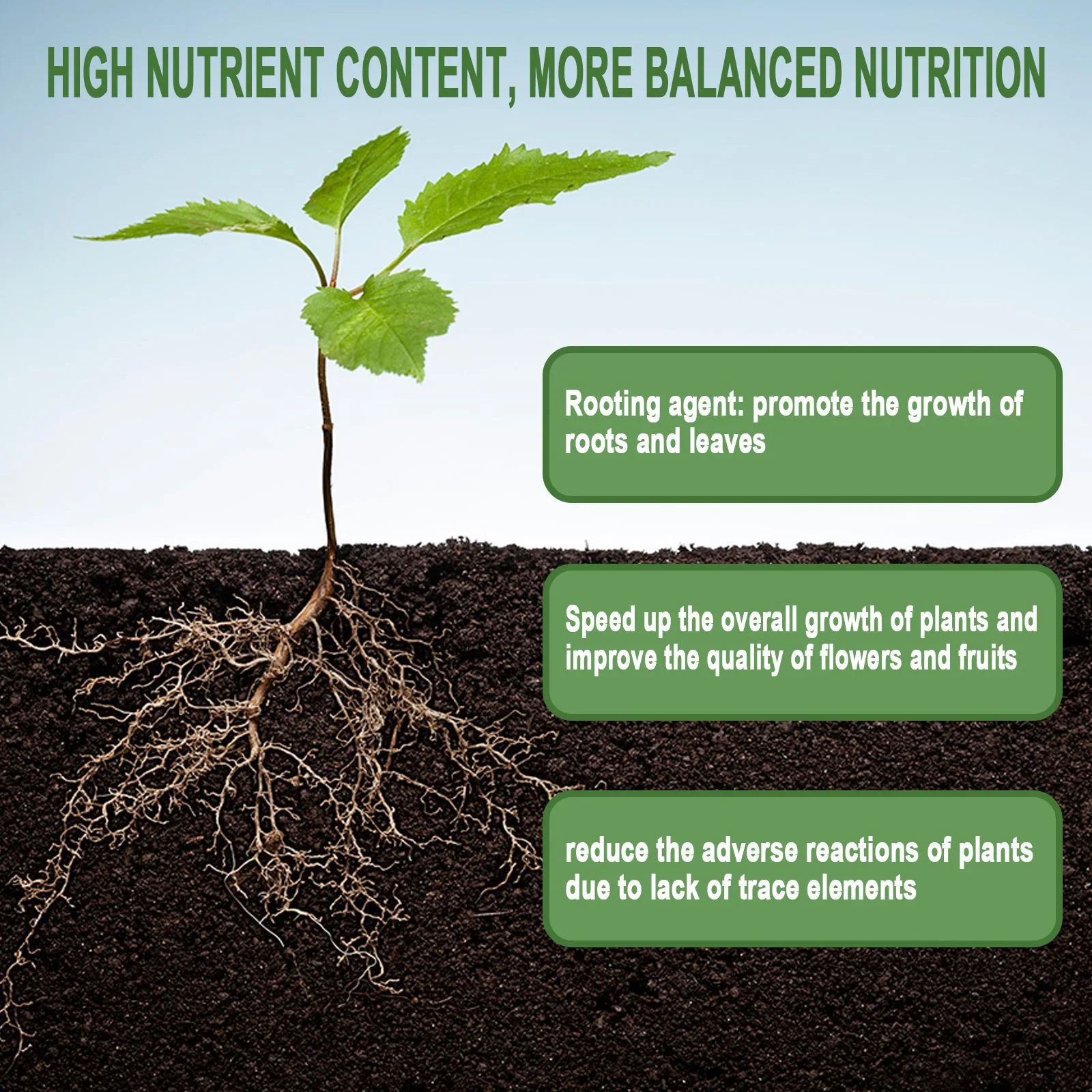 1 Zeldzame Plant Wroeten Poede - Rooting Hormone Powder recensie en prijs