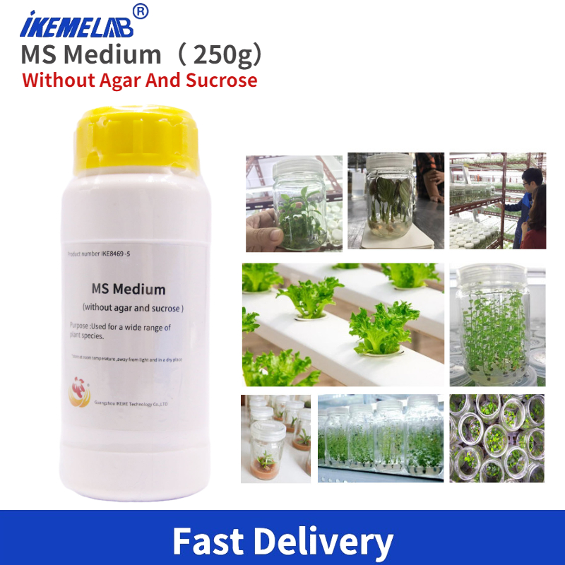 IKEME Lab MS Medium 250g Zonde - Agar Tissue Culture recensie en prijs