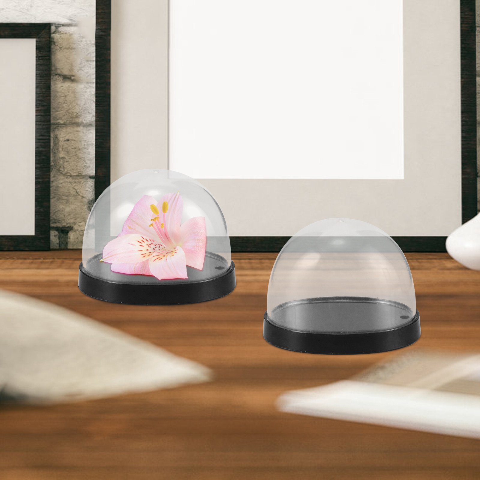 5 sets hoge-transparantie plas - Plastic Dome Clear recensie en prijs