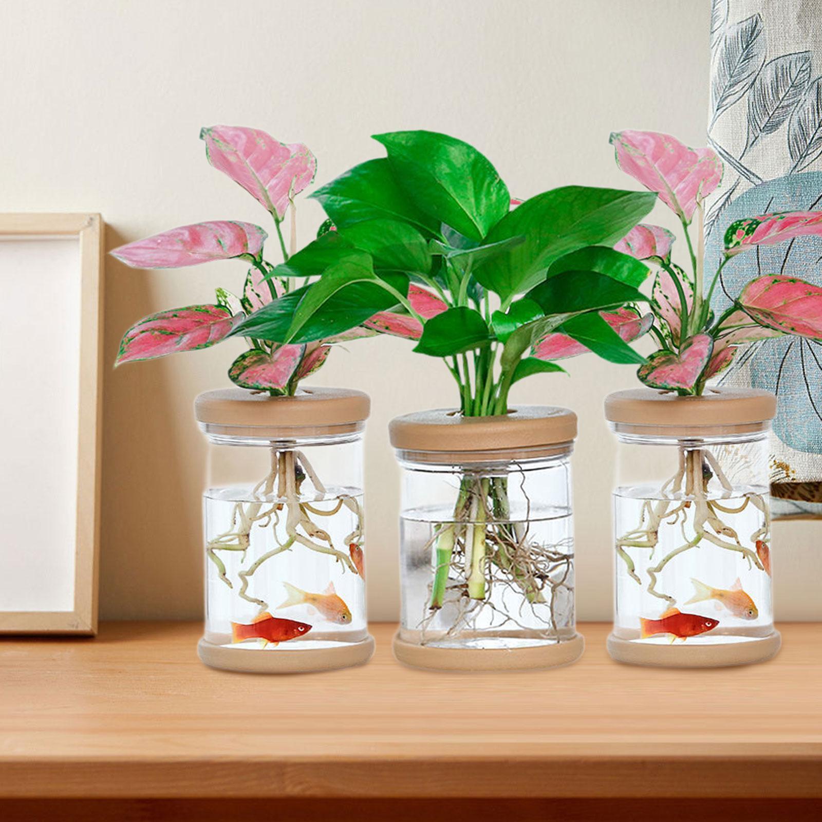 3 stuks hydrocultuur bloemenva - Propagation Station Vase recensie en prijs