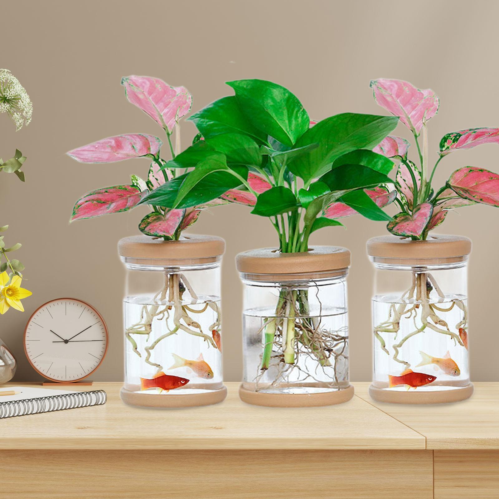 3 stuks hydrocultuur bloemenva - Propagation Station Vase recensie en prijs