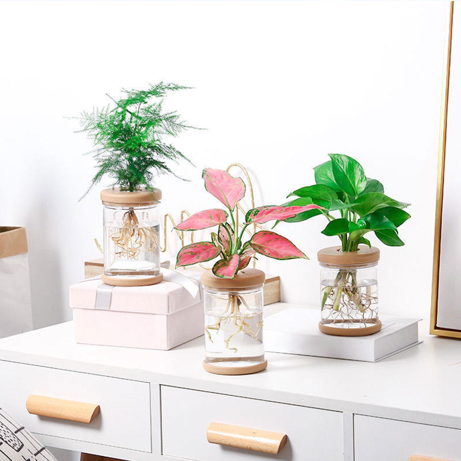 3 stuks hydrocultuur bloemenva - Propagation Station Vase recensie en prijs