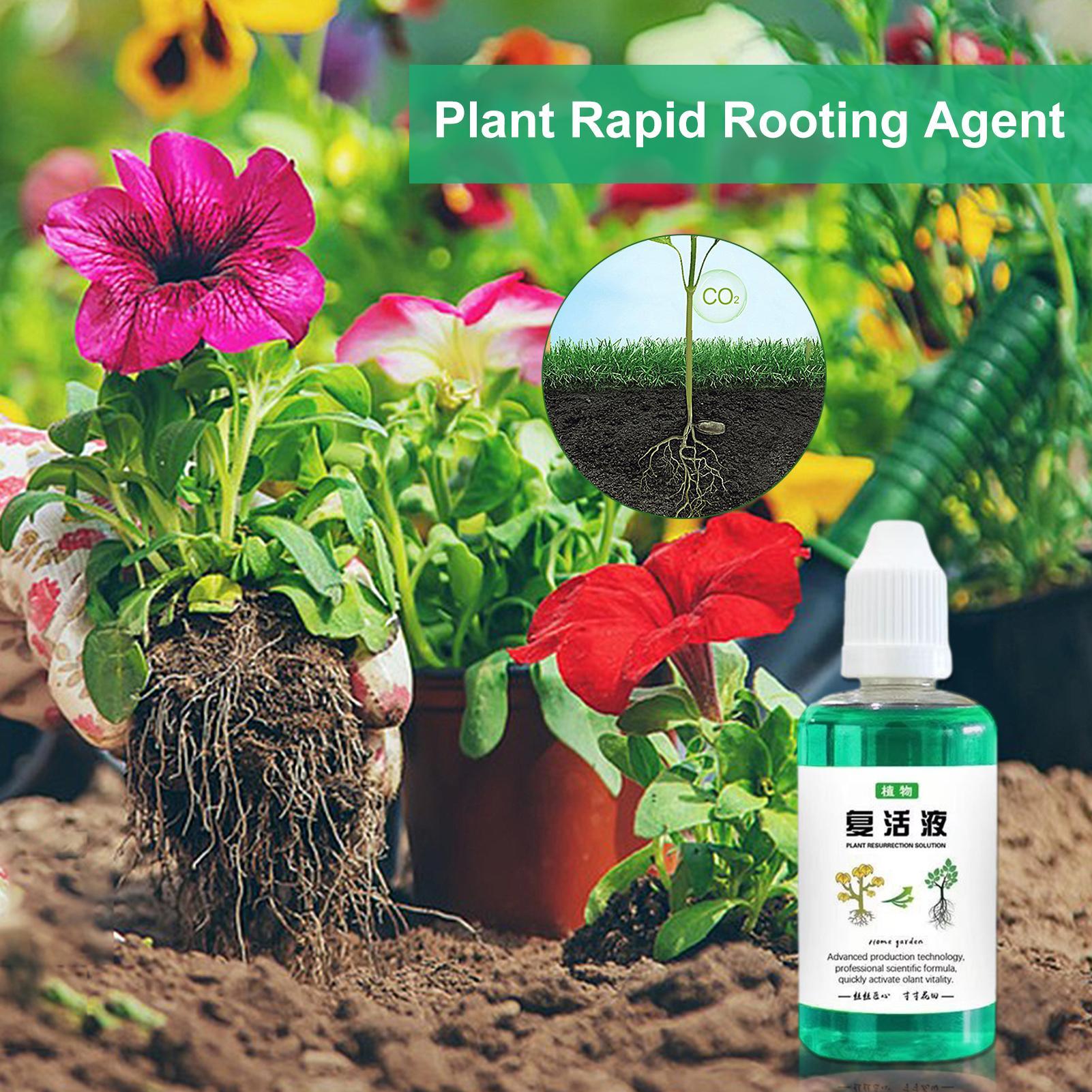 Wortelstimulator voor planten  - Root Stimulator Liquid recensie en prijs