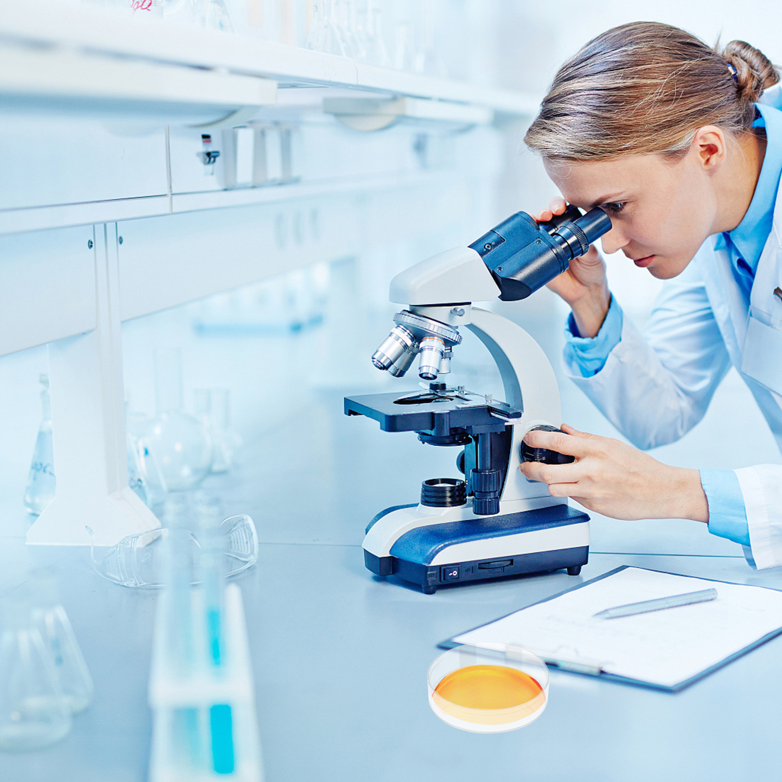 30 stuks petrischaaltjes doorz - Agar Tissue Culture recensie en prijs