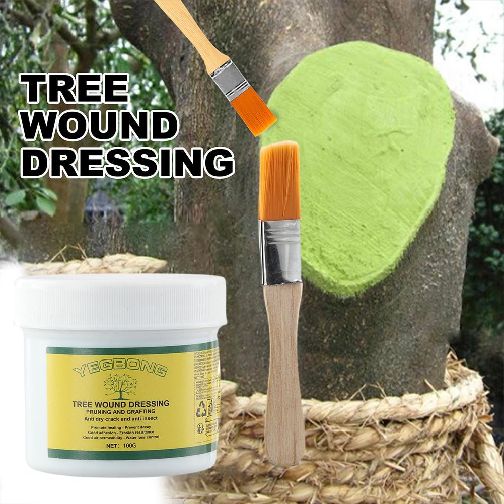 100g Boom Enten Pasta Boom Won - Rooting Hormone Powder recensie en prijs