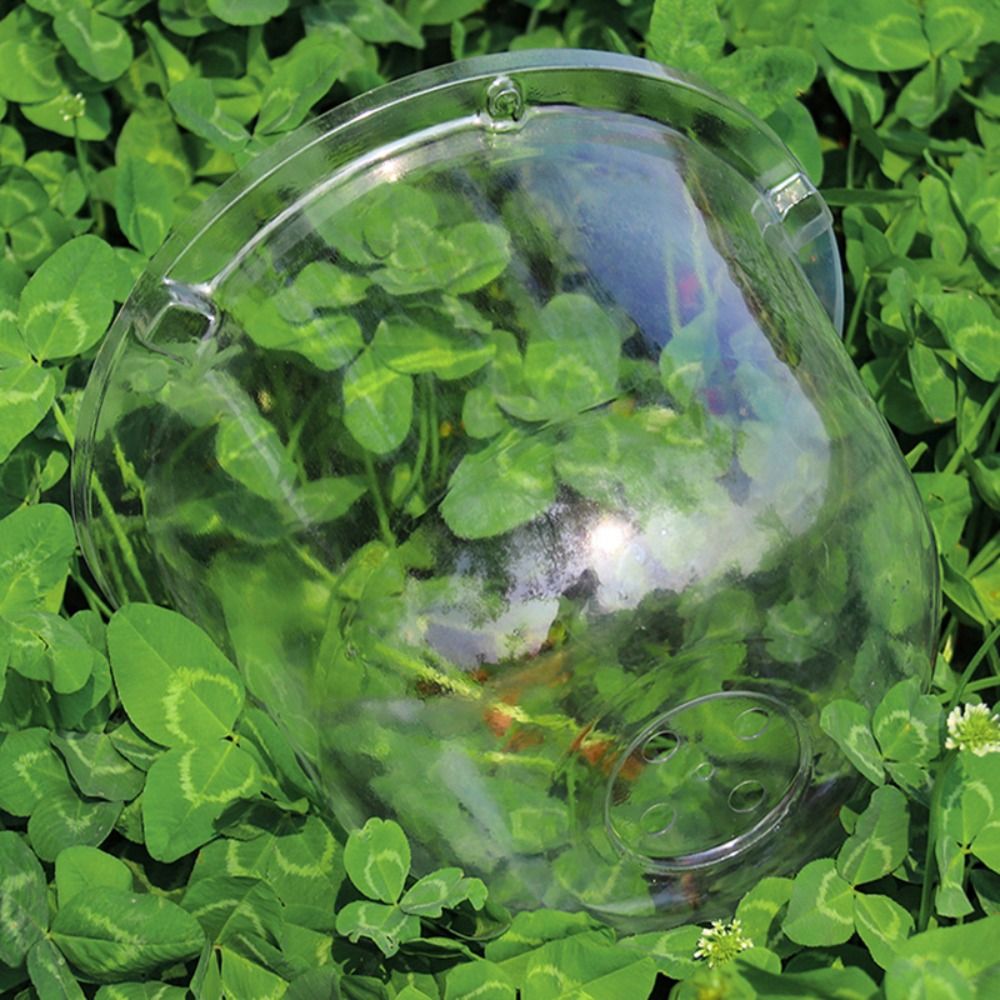 Herbruikbare transparante plas - Plastic Dome Clear recensie en prijs