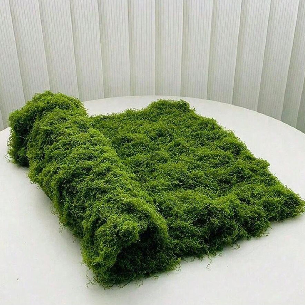 1*1m Nep Mos DIY Ambachten Gra - Sphagnum Moss Dry recensie en prijs
