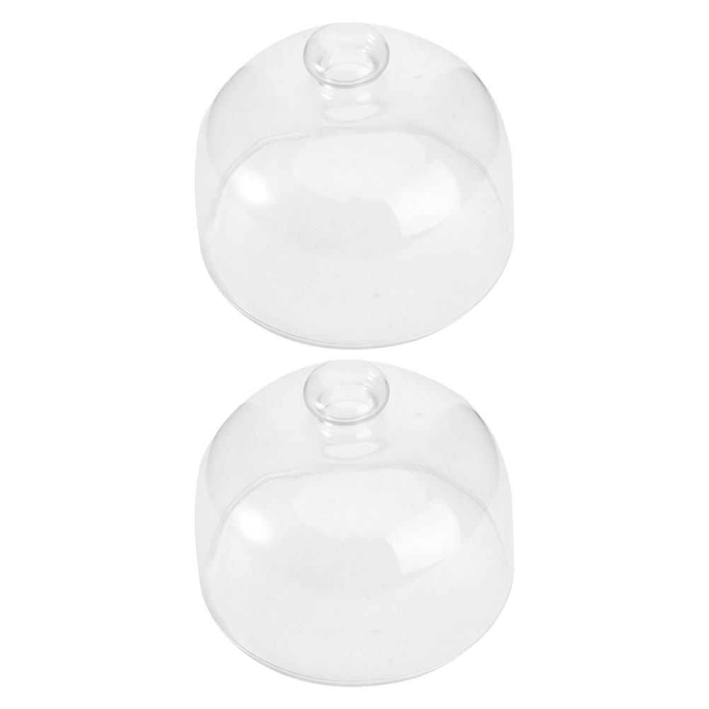 2 Stuks Transparant Glas Cake  - Plastic Dome Clear recensie en prijs