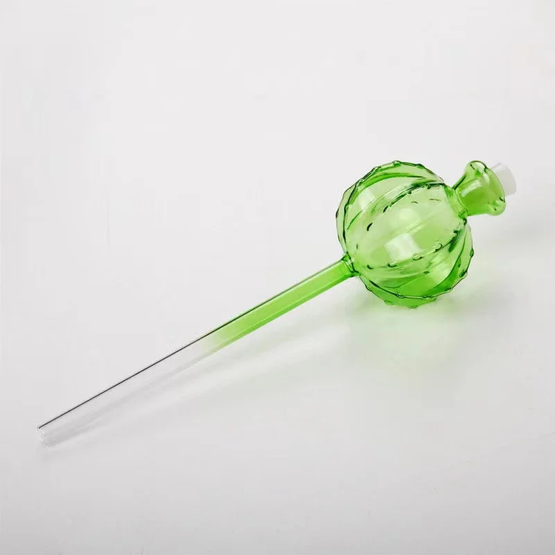 Creatieve glazen plantenbloeme - Self Watering Insert recensie en prijs