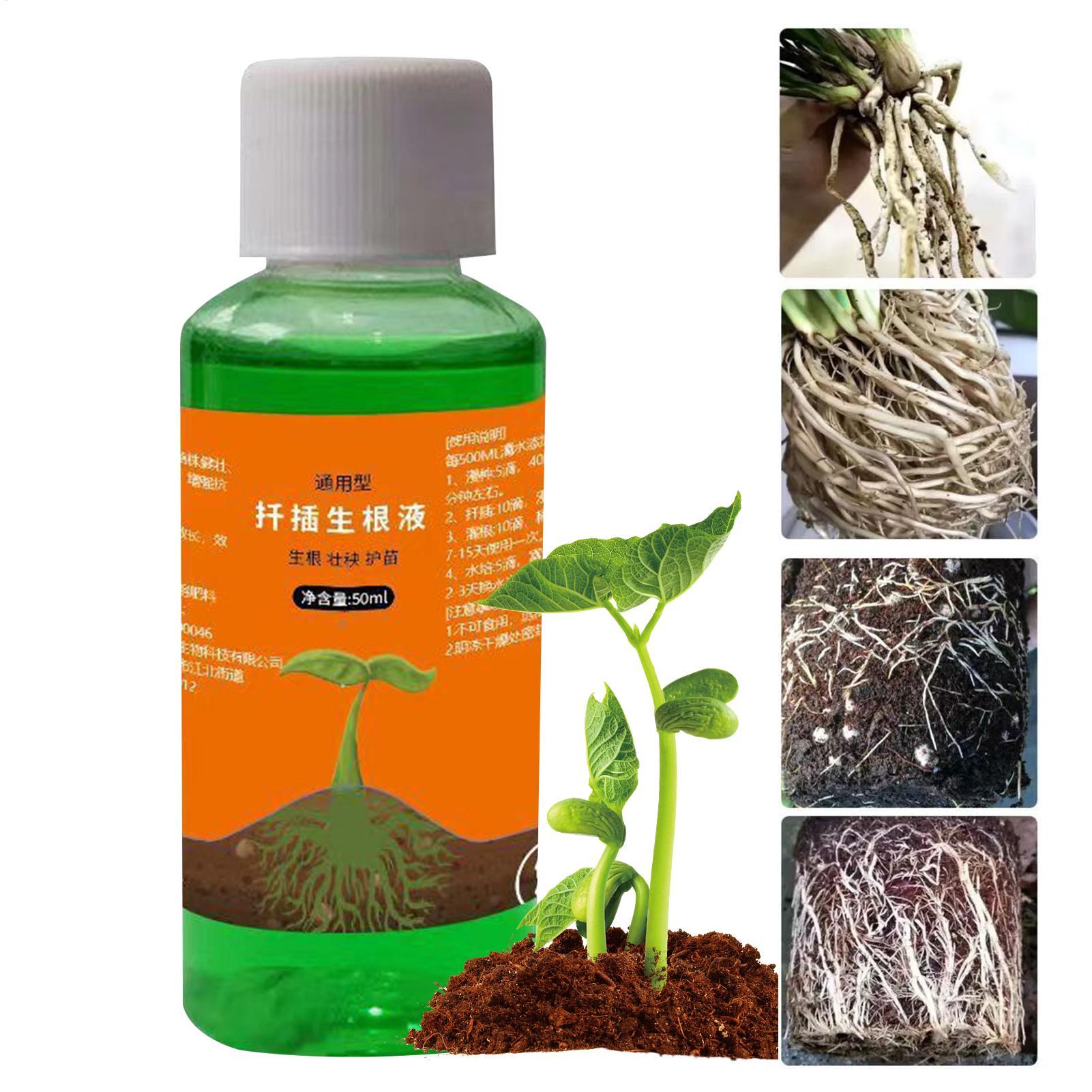 Hoogwaardige wortelstimulator  - Root Stimulator Liquid recensie en prijs