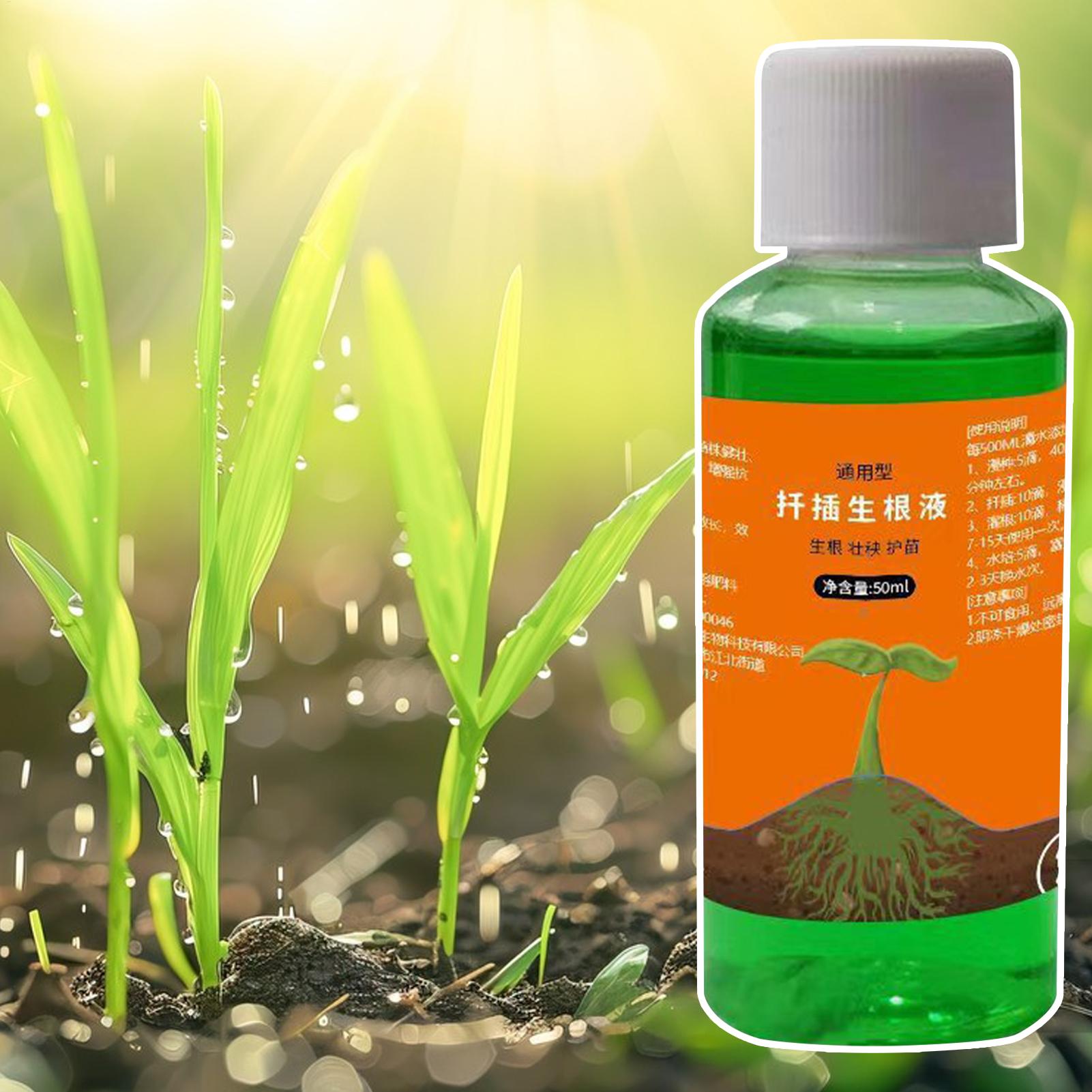 Hoogwaardige wortelstimulator  - Root Stimulator Liquid recensie en prijs