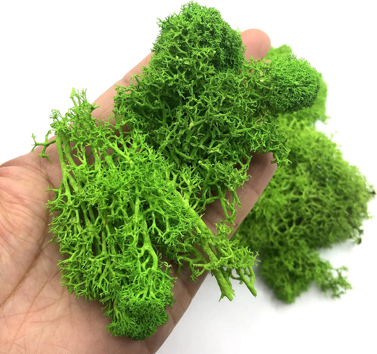200g Kunstmatige Groene Plante - Sphagnum Moss Dry recensie en prijs