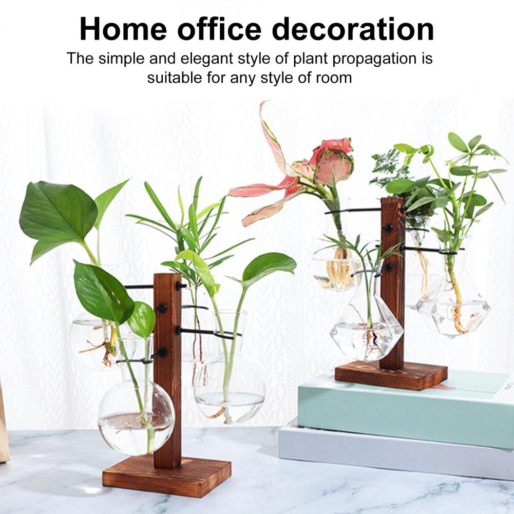 1 Set 10*25 Cm Planten Voortpl - Propagation Station Vase recensie en prijs