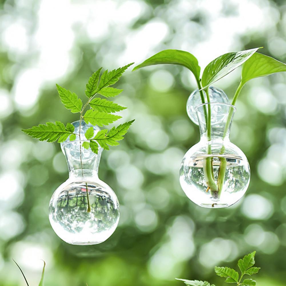 1/2/3/4/6/8 Stuks Plantenvoort - Propagation Station Vase recensie en prijs