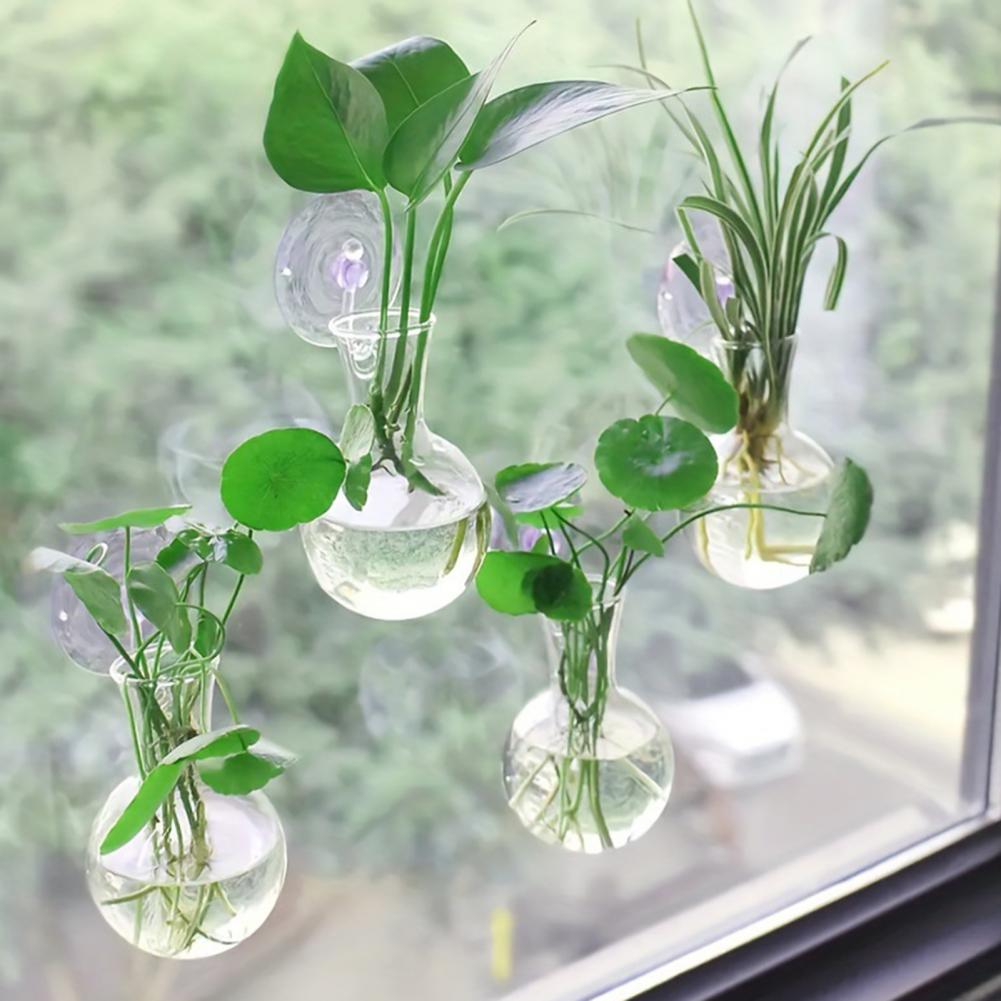1/2/3/4/6/8 Stuks Plantenvoort - Propagation Station Vase recensie en prijs