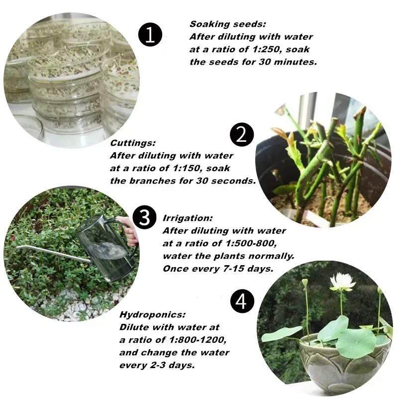 10G Snel Bewortelende Poederho - Rooting Hormone Powder recensie en prijs