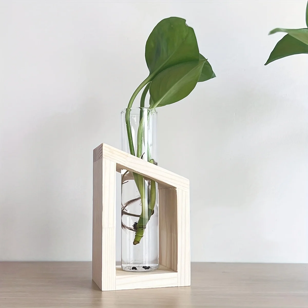 Reageerbuis Glazen Vaas Plant  - Propagation Station Vase recensie en prijs