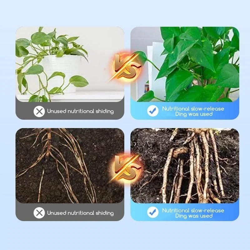500g Hoge sterkte Wroeten Horm - Rooting Hormone Powder recensie en prijs