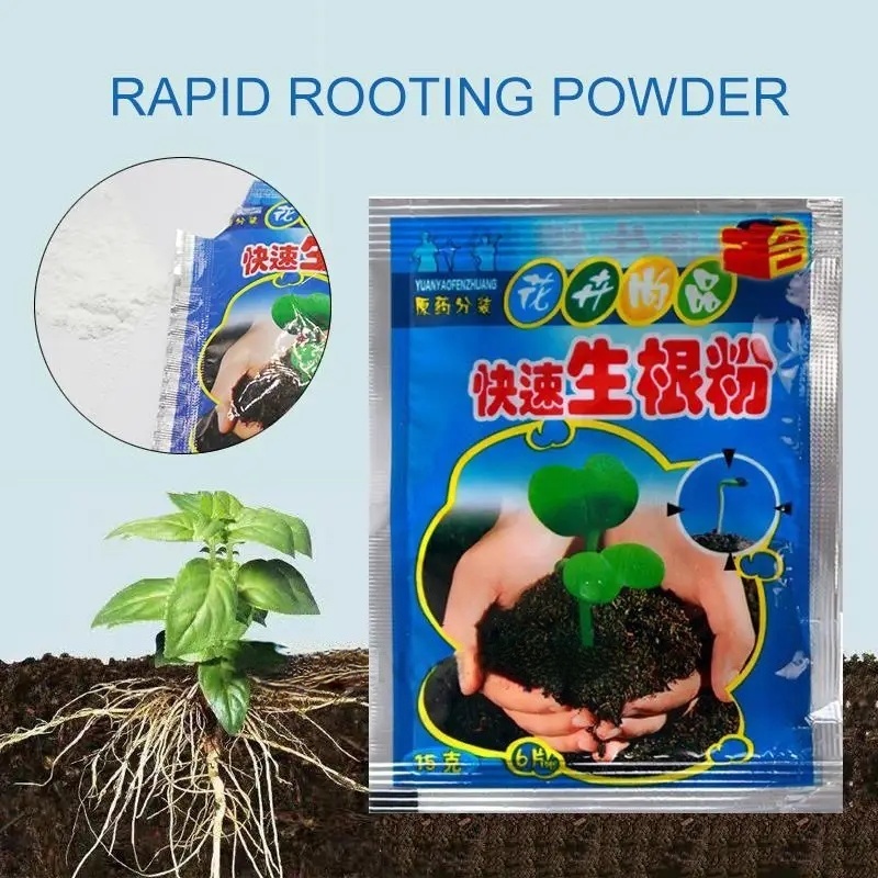 5 stks Snelle Wroeten Poeder P - Rooting Hormone Powder recensie en prijs