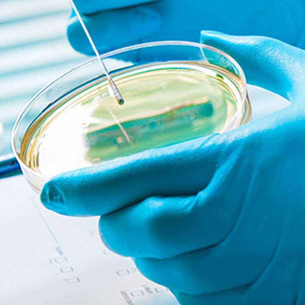10 Stuks Plastic Petrischalen  - Agar Tissue Culture recensie en prijs