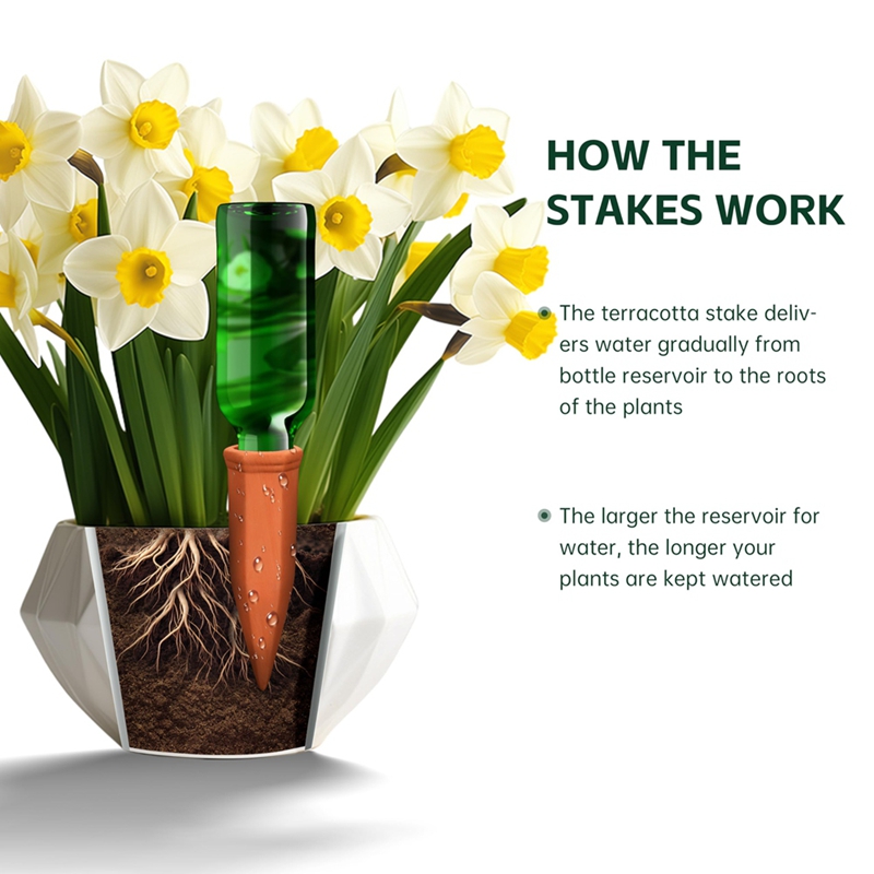 Terracotta Watering Spikes, Wi - Self Watering Insert recensie en prijs